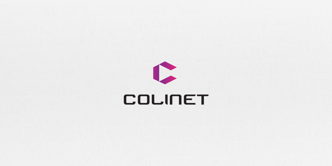 COLINET – DORADZTWO BIZNESOWE